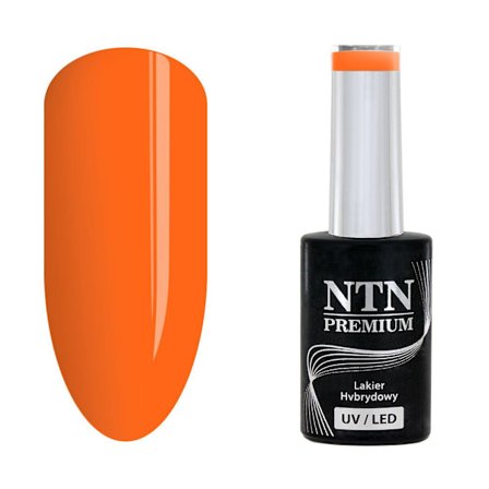 NTN Premium - Gel polish - Ambrosia - Nr162 - 5g UV gel/LED
