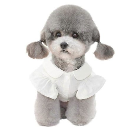 Kjæledyrklær Vår og Sommer Ny Kjæledyr Underdel Hund Katt