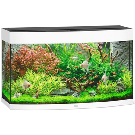 Juwel - Vision 260 Hvit akvarium - Akvaristen - Akvarium & møbler - Akvarium - ZOO.no