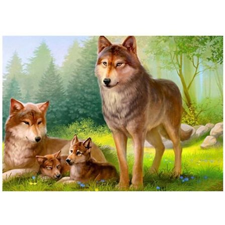 30x40 cm 5d fuld DIY diamantmaleri, håndborpunkt diamantmaleri DIY diamant rhinestone lærred