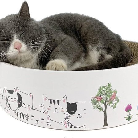 Kissan raapima-alusta, kissan raapimapuu, interaktiivinen kissan lelu, kissat KLB