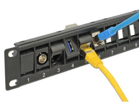 Delock Keystone Patch Panel - koblingspanel - 1U - 19"