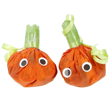 Serpentiner Pumpa 2-pack