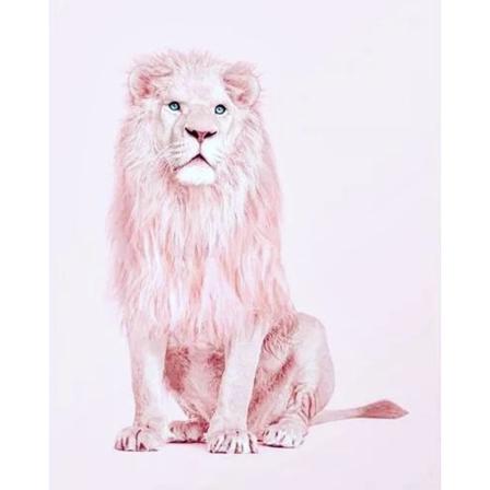 Diamond Painting 5d Diy Diamant Målning Stl.30*40cm