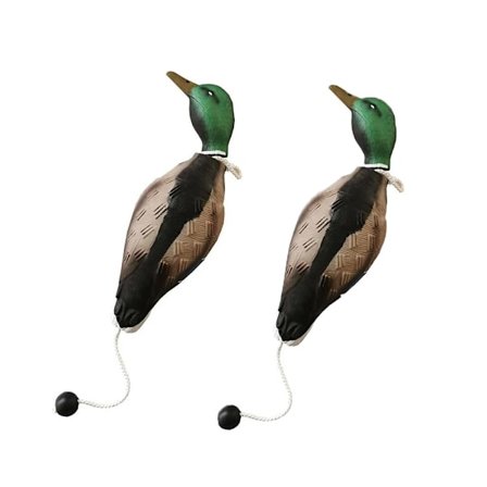 Andeleke for trening av jakthunder. Fugleattrapp lærer apport av stokkand og vannfugl for valper eller jakthunder