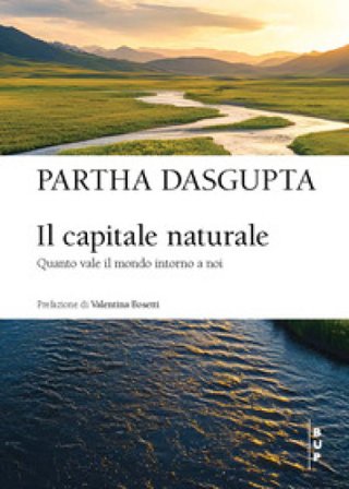 Il capitale naturale. Quanto vale il mondo intorno a noi Partha Dasgupta