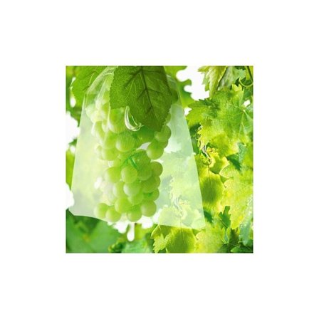 100 fruktpåsar nätpåsar skydd av druvklasar Ag