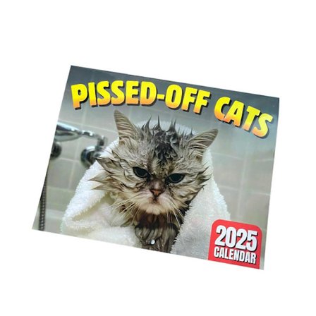 2025 Angry Cat Kalender Kontordekorasjon Veggkalender (LGL)
