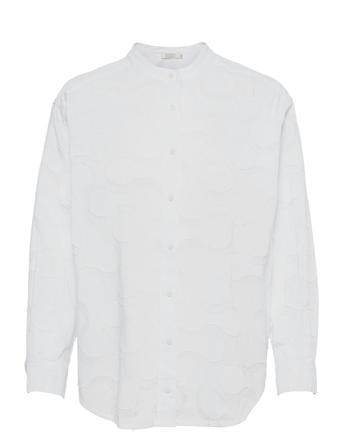 Ineo White Masai