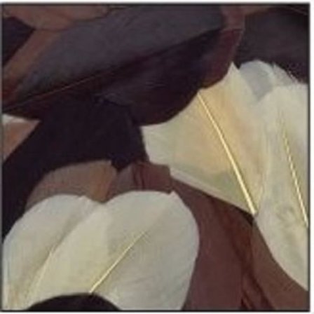 Plumer af gås - KREATIV FRØ - Chokolade Nuancer - 10 gram - Længde 6 cm