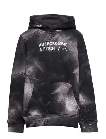 Kids Boys Sweatshirts Huppari Monivärinen/Kuvioitu Abercrombie & Fitch
