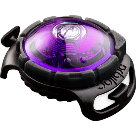 Orbiloc - Safety Light Dog Dual LED - With Quick Mount & Adjustable Strap Purple 5 km - Hund - Halsbånd - ZOO.no