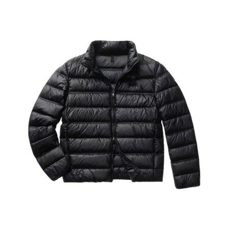 Blauer, Down Jackets Zwart, Heren, Maat:L,nylon
