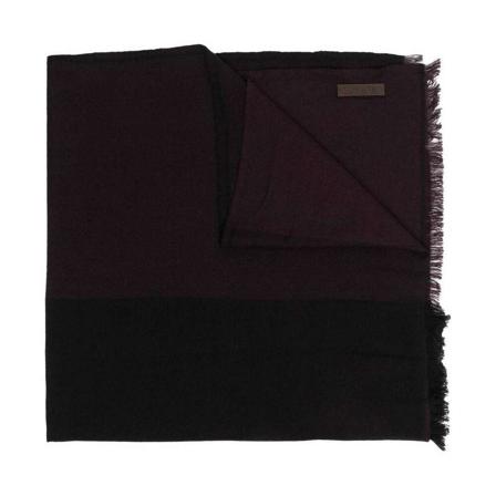 Ermenegildo Zegna, Scarves Zwart, unisex, Maat:ONE Size