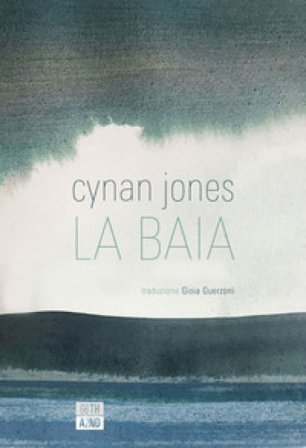 La baia Cynan Jones