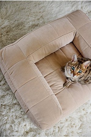 Jotex - Hundebett/katzenbett Sandbeige - MEDFORD - Kaufe Hunde-/Katzenbett bei Jotex