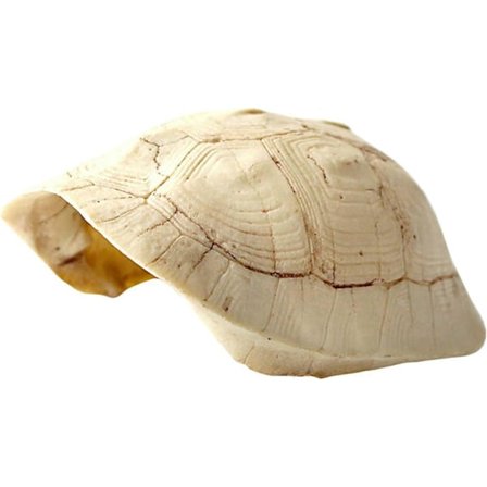 Skilpaddeskall Reptilskjul Terrarium med Gjemmelekehuler Resin Klatreplattform