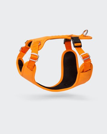 Paikka Visibility Hundesele, Orange - XXL