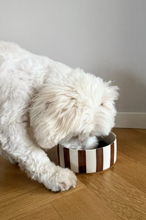 Jotex - Matskål For Hund/katt Brun - STELLA - Kjøp Kjæledyrutstyr hos Jotex