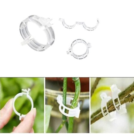 Växtklämmor för växtstöd/spaljé 100-pack Gr