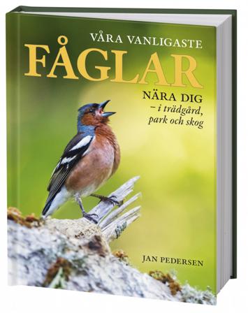 Våra vanligaste fåglar nära dig : i trädgård, park och skog - Bok av Jan Pedersen - Inbunden