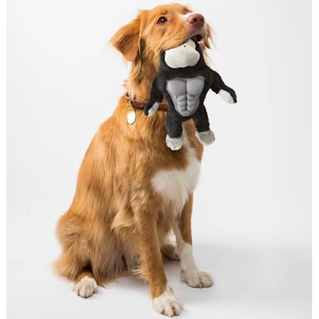 Gorilla 30cm, hund leksak, stor, medelstor och liten hund, bitresistent
