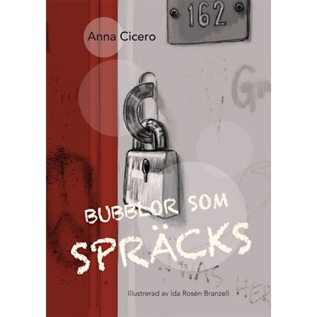 Bubblor som spräcks 9789188933959
