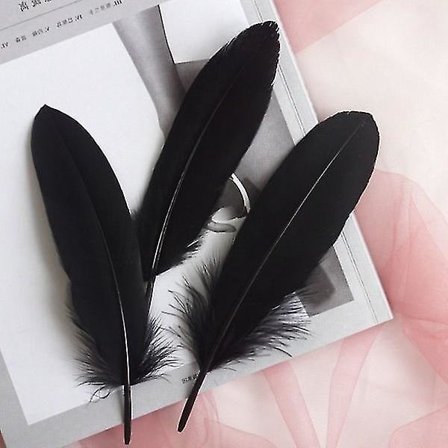 100 stk./ Sæt Gåsefjer Diverse Fjer