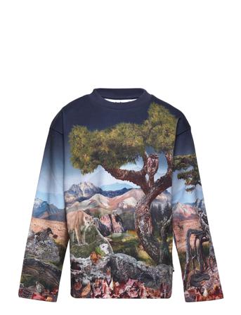 Mountoo T-shirts Long-sleeved T-shirts Monivärinen/Kuvioitu Molo