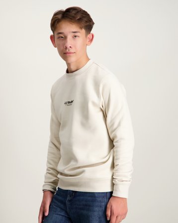 Jack & Jones JJESOHO SWEAT CREW NECK SN JNR Beżowy Swetry Chłopiec - Kids Brand Store