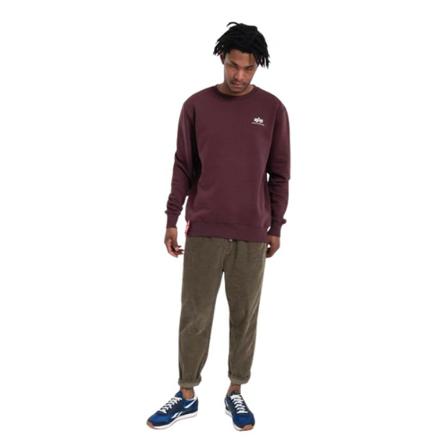 Alpha Industries, Sweatshirts Bruin, Heren, Maat:L