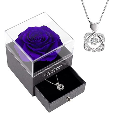 Bevarad ros i presentförpackning med halsband - Bästa present till mors dag, födelsedag, årsdag, jul, alla hjärtans dag, mamma, fru, flickvän (