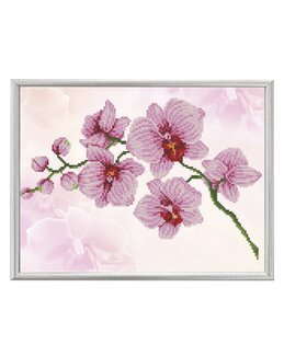 Diamond Dotz Orkidé