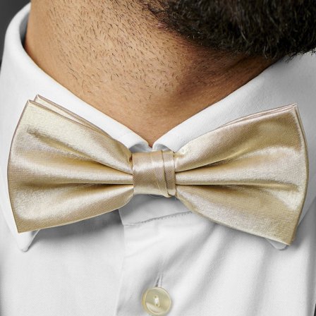 Shiny Champagne Basic Pre-Tied Bow Tie for Men - Pre-tied bow ties
