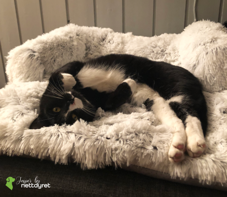 Jesper by Nettdyret Sofaseng, Lys - M