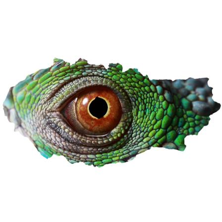 IC 3D Rikkoutunut Seinä Vision Dinosaur Lizard Eyes Seinäkoriste Olohuoneen Makuuhuoneen Deko (tyyli 4)