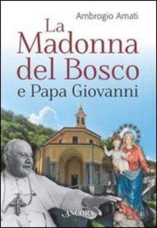 La Madonna del bosco e papa Giovanni Ambrogio Amati