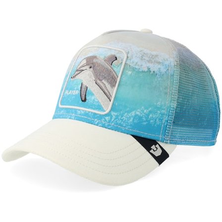 Goorin - Multi trucker Kasket - Dolphin In The Element Dust A-Frame Trucker @ Hatstore