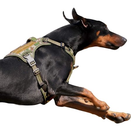 Taktisen koiran valjaat suurille koirille, ei vedä, kuuluisa TIK Tokin ei-vetovaljaat, sopii älykkäisiin heijastaviin lemmikkien kävelyvaljaisiin 