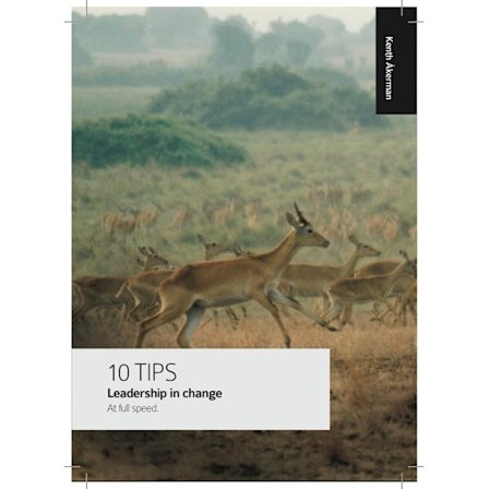 Leadership in change : at full speed 9789186439330