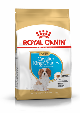 Royal Canin - Cavalier King Charles valp tørrfôr for valp 1,5 kg - Hund - Hundefôr & hundemat - Tørrfôr for hund - ZOO.no