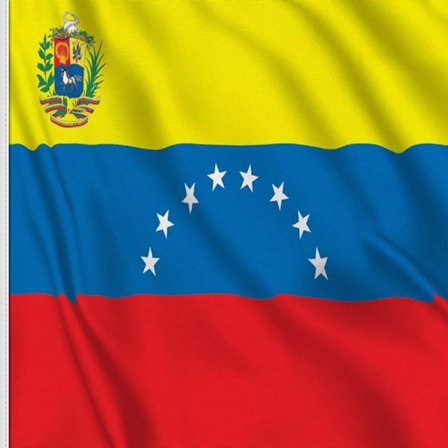 Venezuela flagga 100