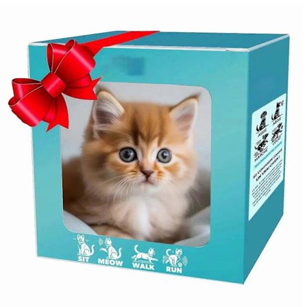 Robotkat til børn, aktivitetslegetøj, kort plysfigur, robotkat, aktivitetslegetøj (LGL)