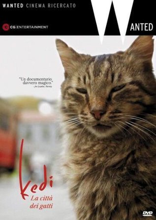 Kedi - La Citta' Dei Gatti