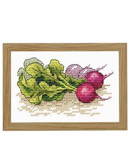 Stickpackung Bild Radieschen