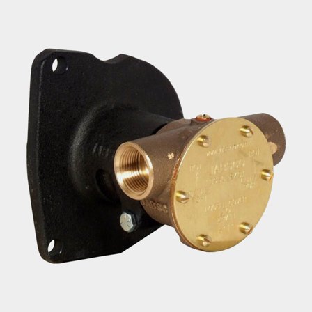 Pump brz flg 040 3/4" BSP