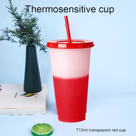 Färgskiftande koppar Återanvändbara tumlare med lock och iskoppar med halm för vuxna barn