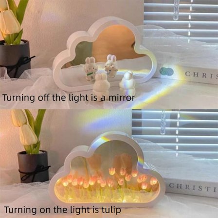 Cloud Tulip Night Light Makeup Spejl PINK FINISH PRODUKT