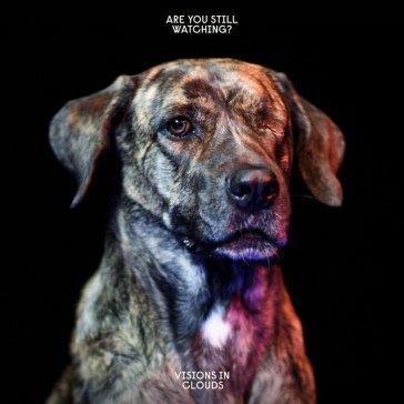 Are you still watching? VISIONS IN CLOUDS