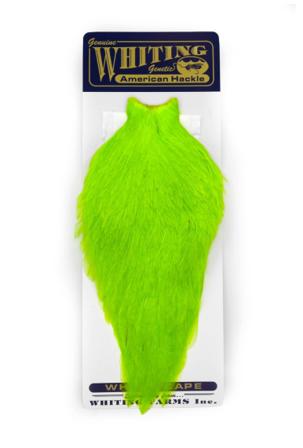 Whiting American Rooster Cape White dyed Fl. Green Chartreuse
